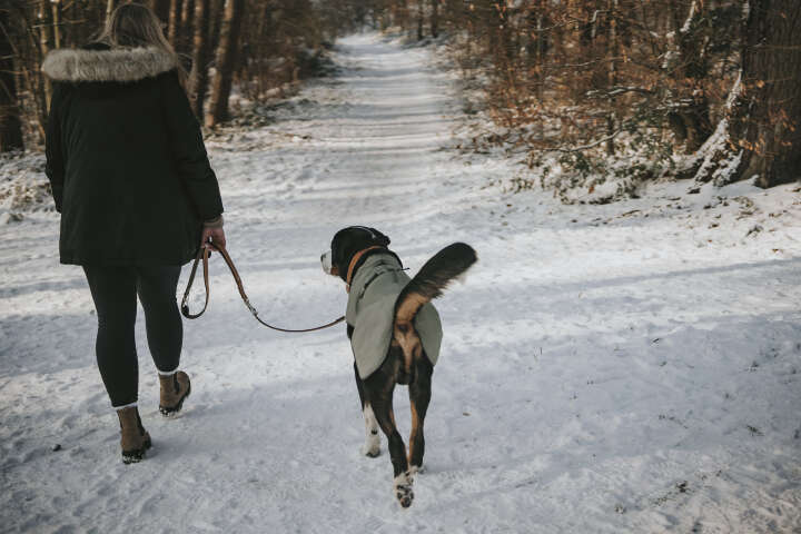 HUNTER Hundemantel Uppsala